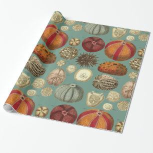 Intestina et Mollusca Linnaei Geschenkpapier
