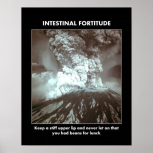 intestinal-fortitude-behalt-a-steiff-upper-lip poster