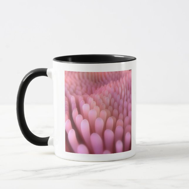 Intestinale Darmzotten 2 Tasse (Links)