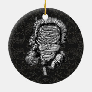 INTESTINS DIAGRAM VINTAG KERAMIKORNAMENT