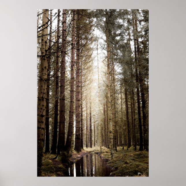 INTO THE FOREST POSTER (Vorne)