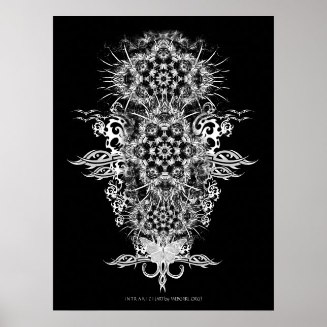 INTRAKiZI-Poster Poster (Vorne)