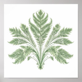 Intricate Botanical Symmetry: Fractal Flora Poster