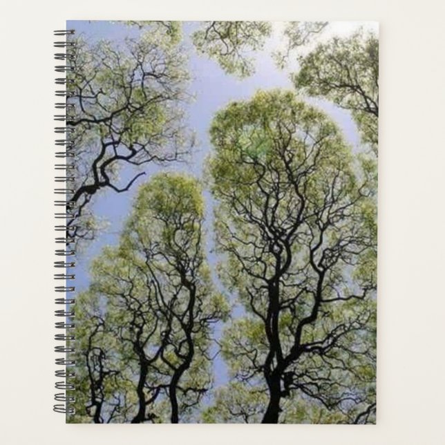 Intricentierte Kunst der grünen Baumkronen Planer (Vorderseite)