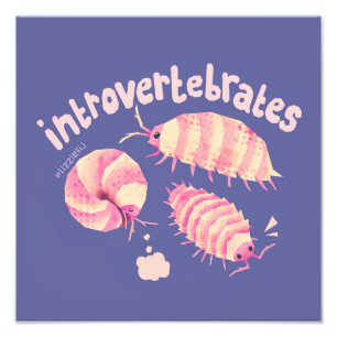 Introvertebrates isopods - Druck mittlerer Kunst