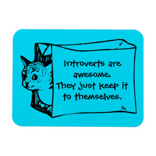 Introverts sind fantastische Katze in einem Magnet