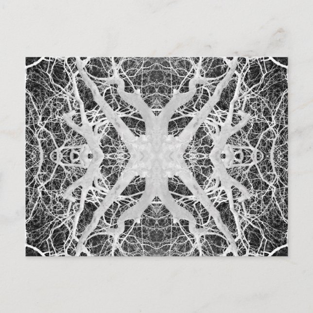 Inverse Treetop Spider's Web Postcard Postkarte (Vorderseite)
