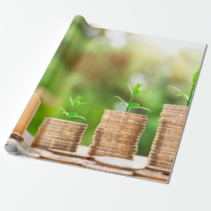 Investition in Geld-Zuhause-Münzen Geschenkpapier