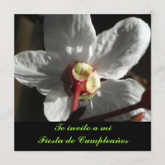 Invitación - Die Einladung an einen Kilometer Fies