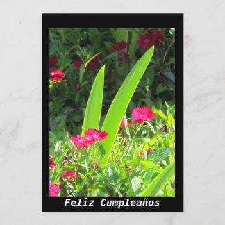 Invitación - Feliz Cumpleaños - Rosa Blume Einladung