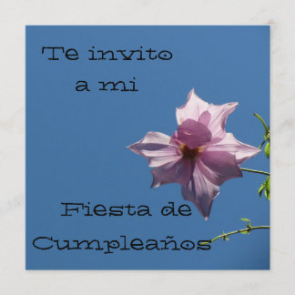 Invitación - Fiesta de Cumpleaños - Azul y Rosa Einladung