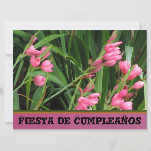 Invitación - Fiesta de Cumpleaños Einladung (Vorderseite)