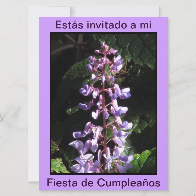 Invitación - Fiesta de Cumpleaños - Púrpura Einladung (Vorderseite)