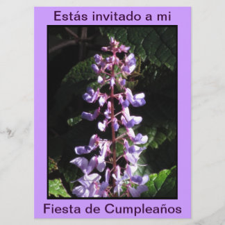 Invitación - Fiesta de Cumpleaños - Púrpura Einladung