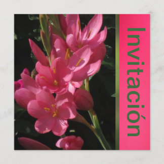 Invitación - Fiesta de Cumpleaños - Rosa Einladung