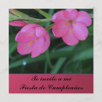 Invitación - Te invito ein MI Fiesta de Cumpleaños Einladung