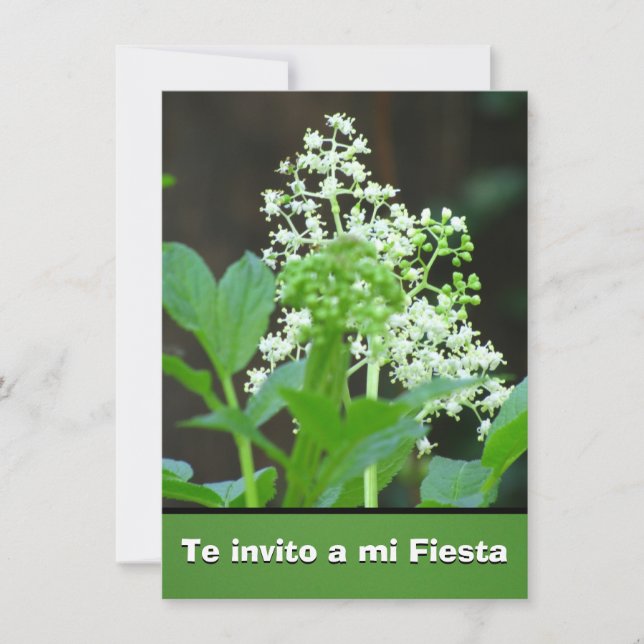 Invitación - Te invito eine MI-Fiesta - Flores Einladung (Vorderseite)