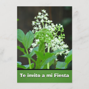 Invitación - Te invito eine MI-Fiesta - Flores Einladung