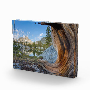 Inyo National Forest, Kalifornien Fotoblock