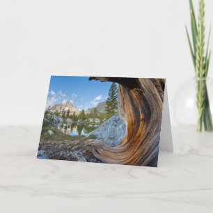 Inyo National Forest, Kalifornien Karte