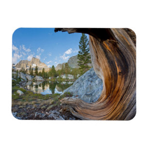Inyo National Forest, Kalifornien Magnet