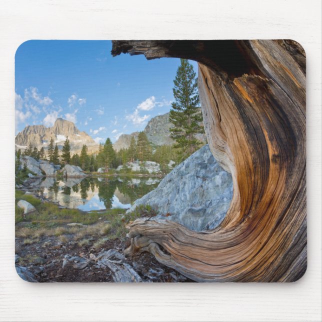 Inyo National Forest, Kalifornien Mousepad (Vorne)