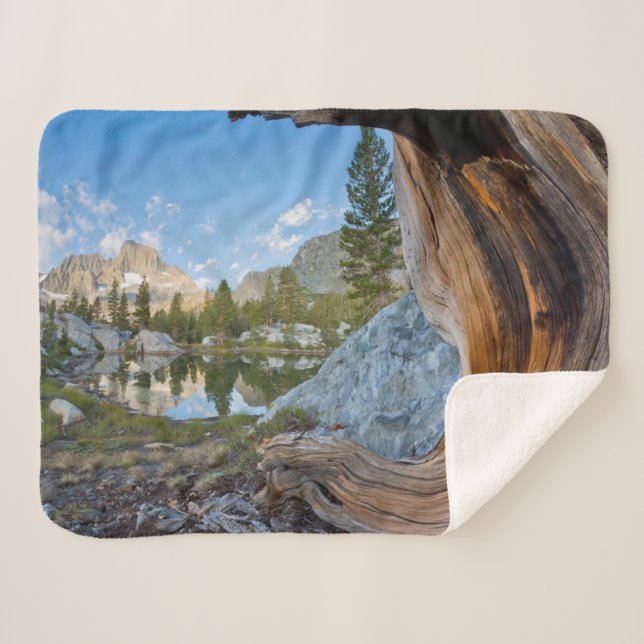 Inyo National Forest, Kalifornien Sherpadecke (Vorderseite (Horizontal))