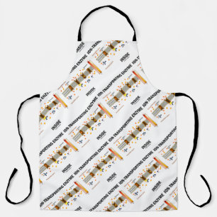 Ionentransportierungsenzym im aktiven Verkehr Schürze