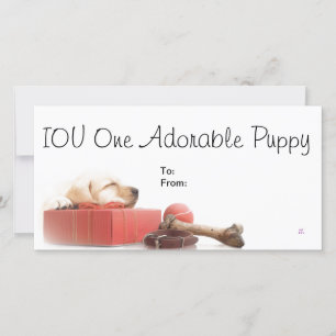 IOU 1 Adorable Puppy