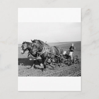 Iowa Corn Planter, 40er Postkarte