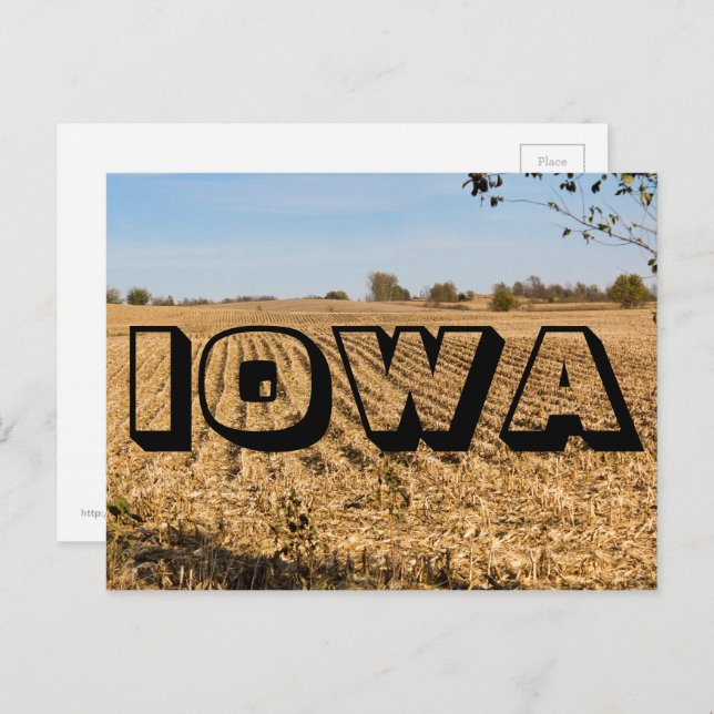 IOWA Cornfield Panorama Panoramaaussicht Foto Postkarte (Vorne/Hinten)