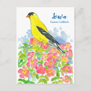 Iowa Eastern Goldfinch Pink Wilde Rose Postkarte