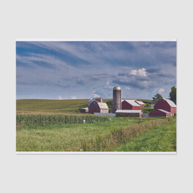 Iowa Farm, Cornfields, Silo und Rote Barnen Seidenpapier (Vorderseite)
