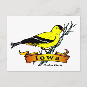 Iowa Goldfinch Postkarte