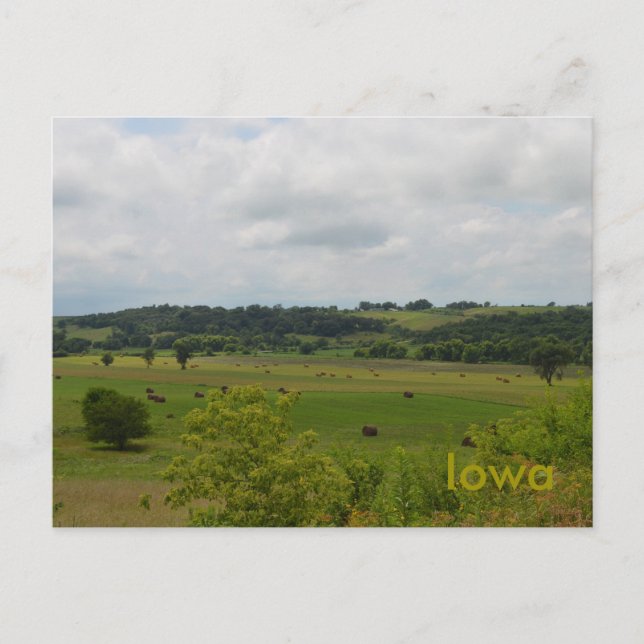 Iowa Landscape Postcard Postkarte (Vorderseite)