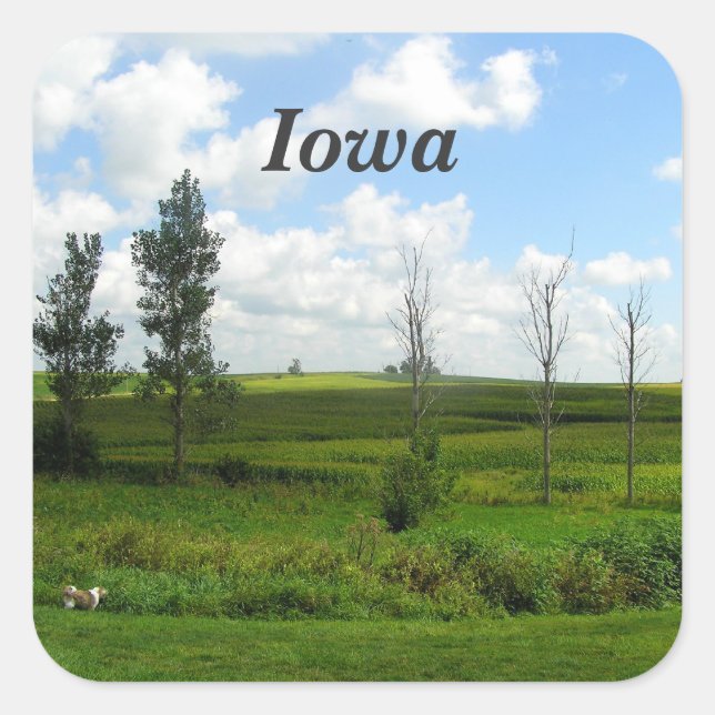 Iowa Quadratischer Aufkleber (Vorderseite)