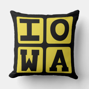 IOWA Staat Iowan Hawkeye Des Moines Cedar Rapids Kissen