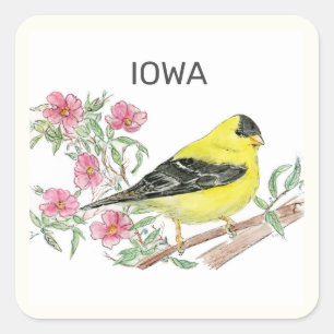 Iowa Staat Vogel und Blume Quadratischer Aufkleber