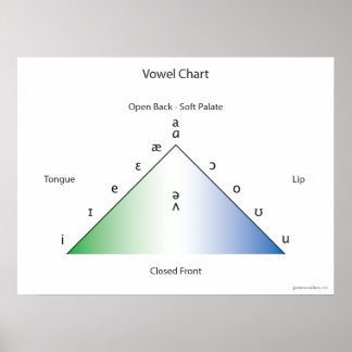 IPA-Vokaldiagramm Poster