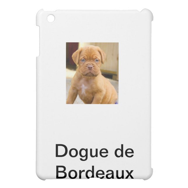 IPAD FALL *** iPad MINI HÜLLE (Hinten)