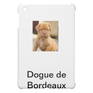 IPAD FALL *** MINI HÜLLE