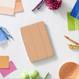 iPad Smart Cover