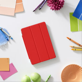 iPad Smart Cover