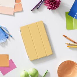 iPad Smart Cover