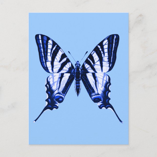Iphiclides podalirius Postkarte (Vorderseite)