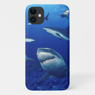 iPhone 11 Case-Sharks  Case-Mate iPhone Hülle