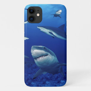 iPhone 11 Fallhaie Case-Mate iPhone Hülle