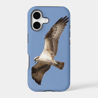 iPhone 11 Gehäuse mit Osprey