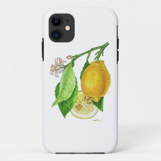 iPhone 11 Hülle Zitrone “Ferraris Zitronenbaum”