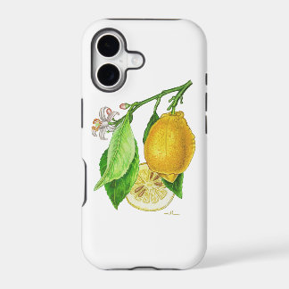 iPhone 11 Hülle Zitrone "Limonier ferraris"